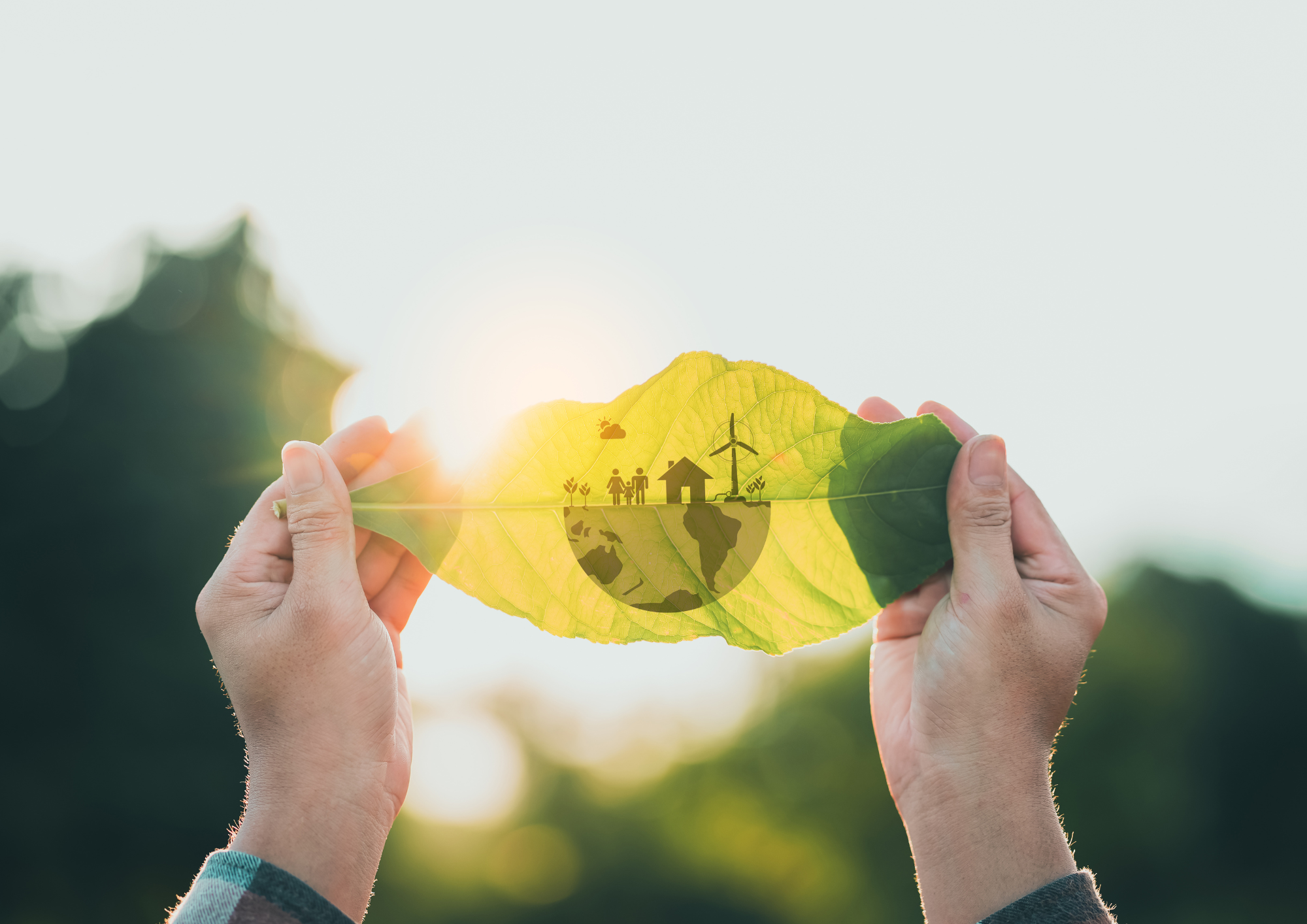 Umweltfreundlich unterwegs