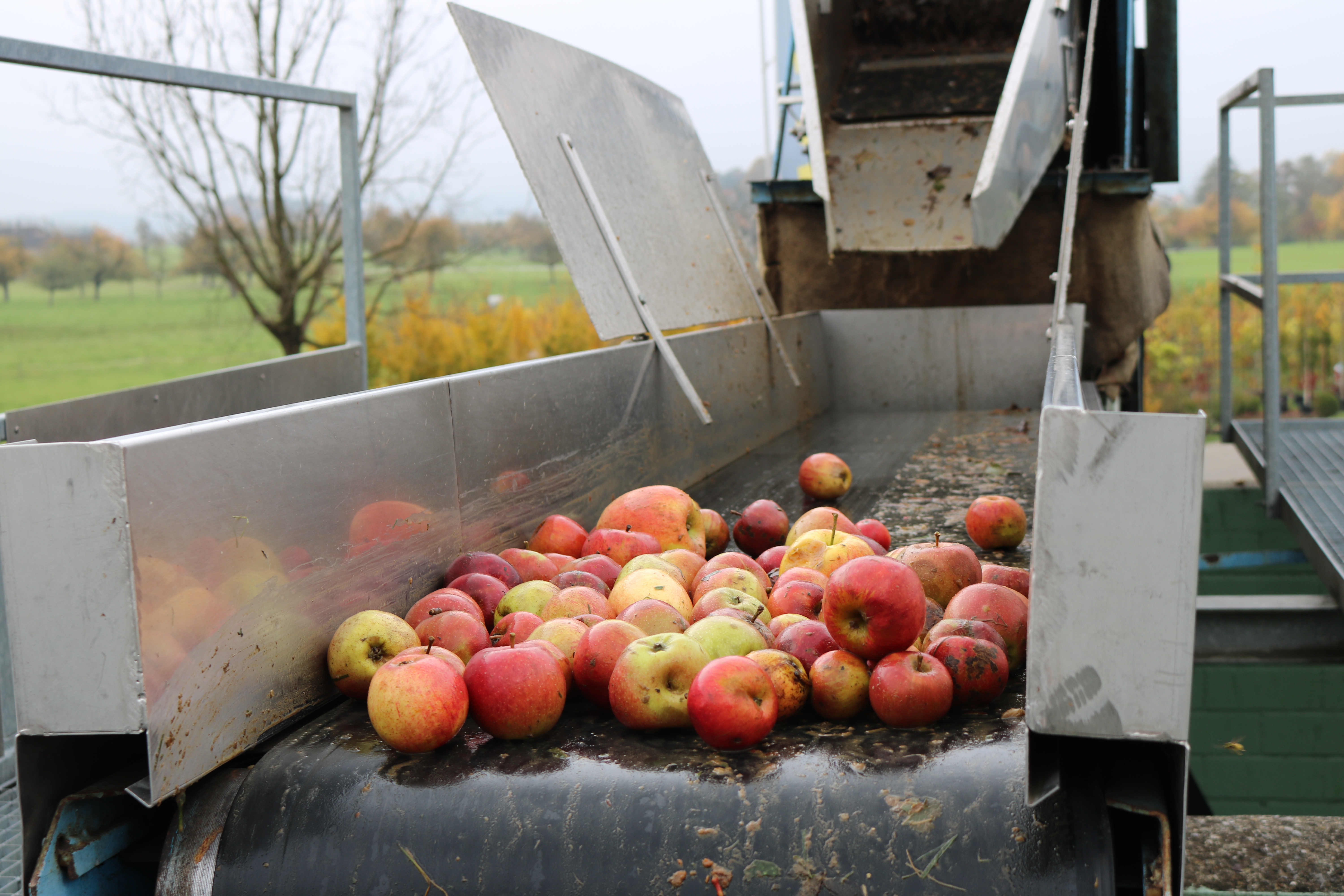 News Mostobstannahme