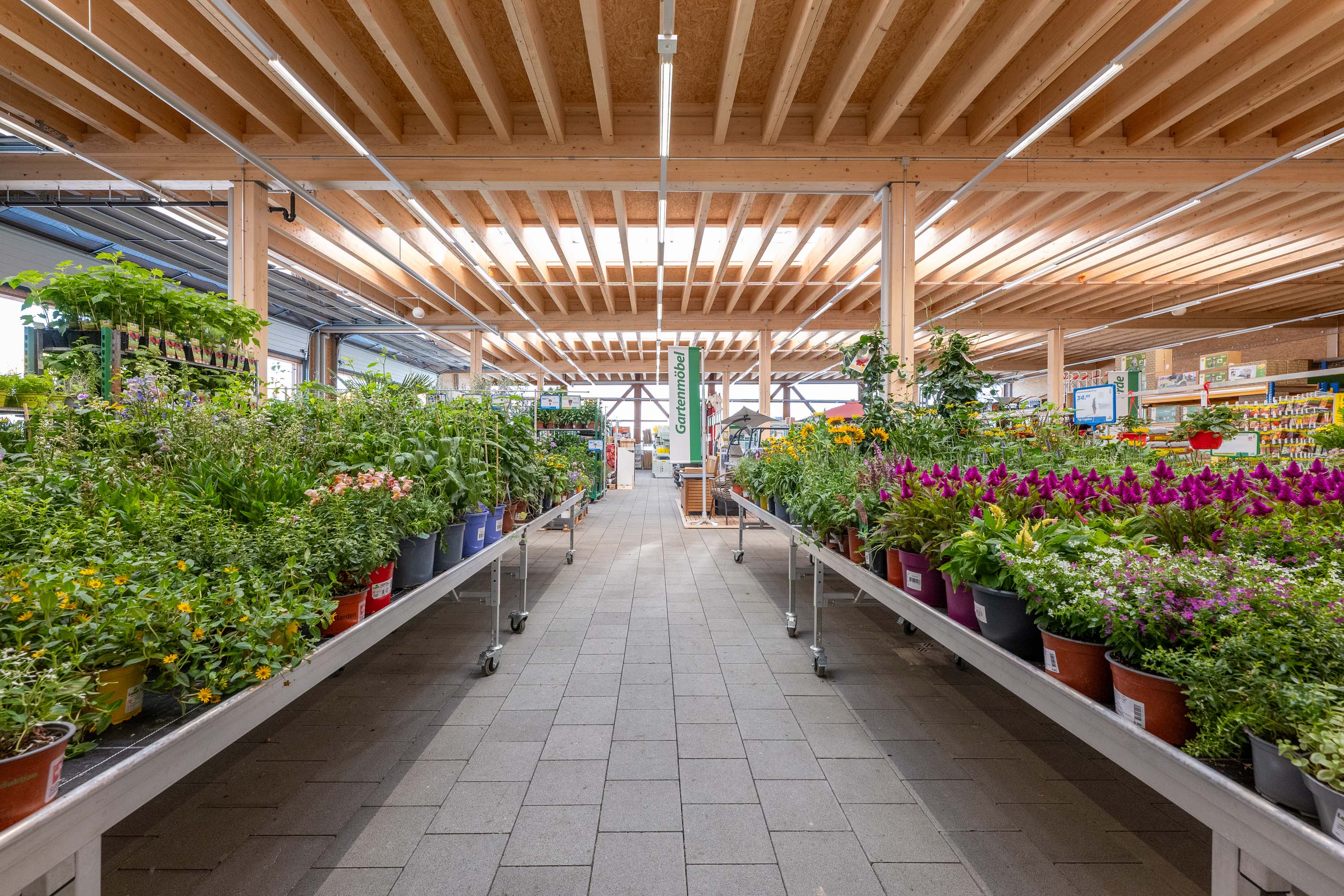 Blumenabteilung Gang