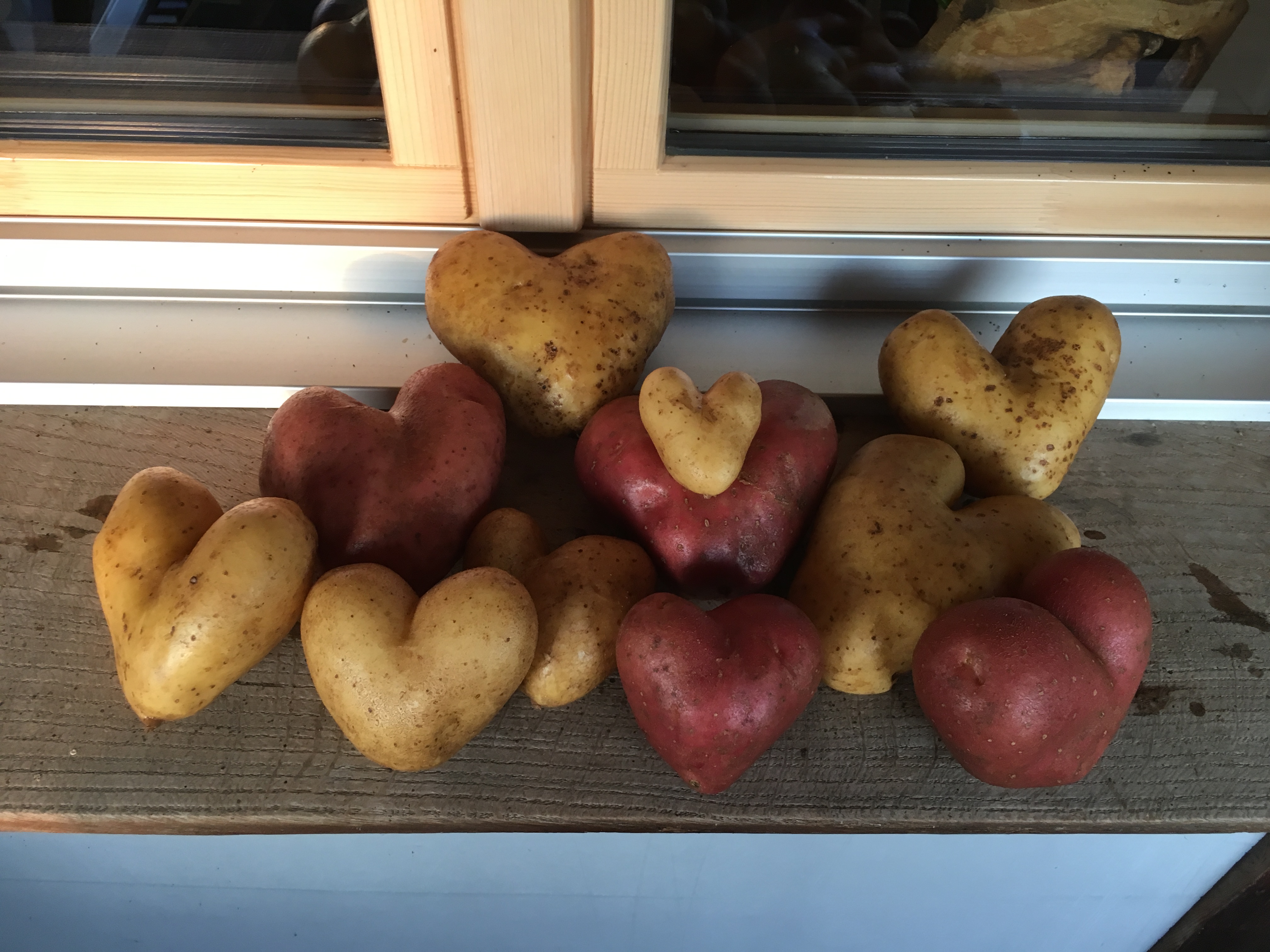 Kartoffelherzen Tüscher Samuel