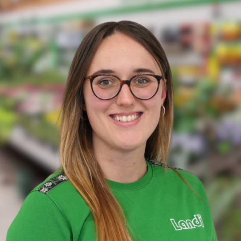 LANDI Sursee Detailhandel Rölli Stefanie