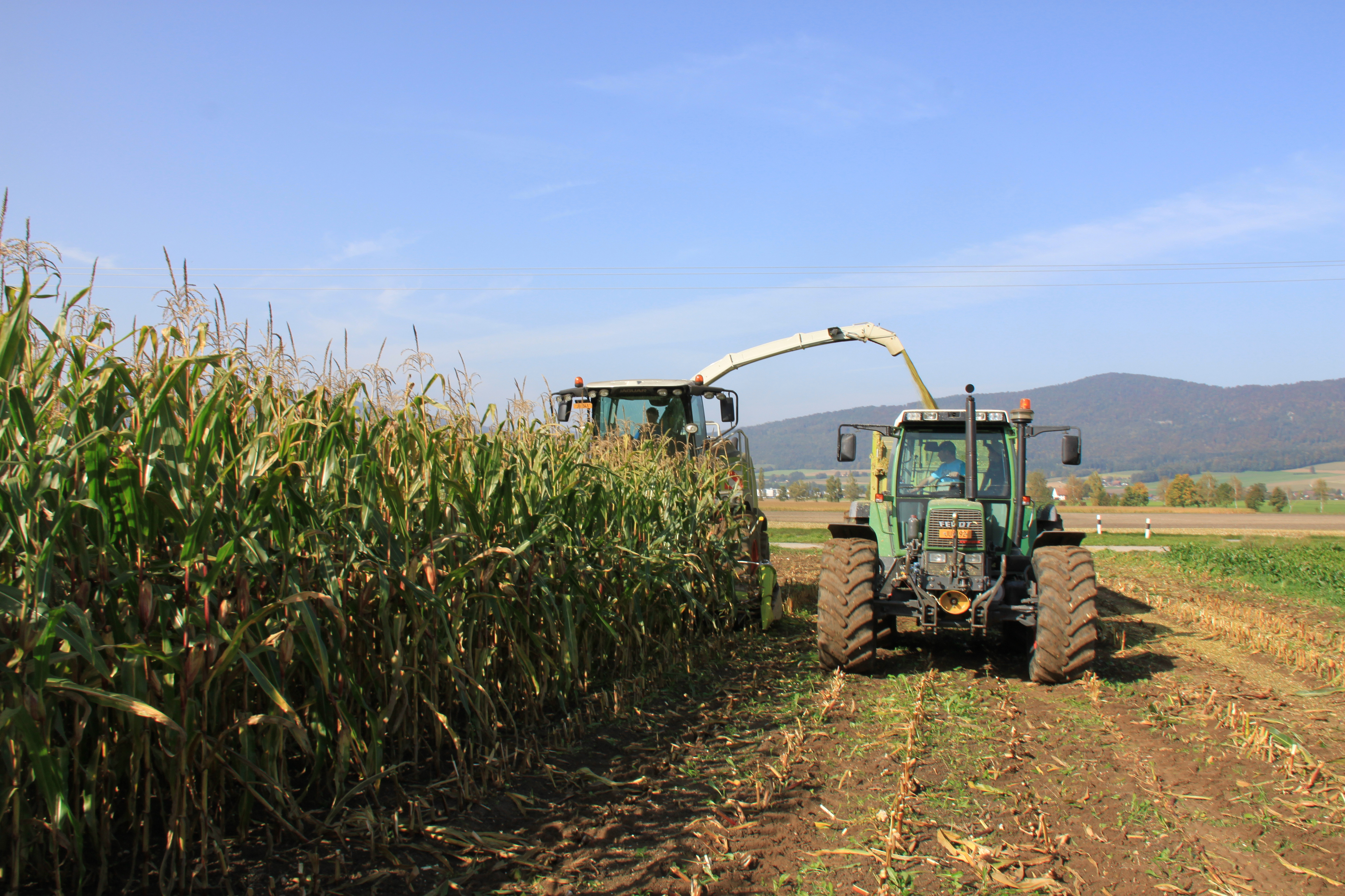 Bei trockenem Wetter ernten