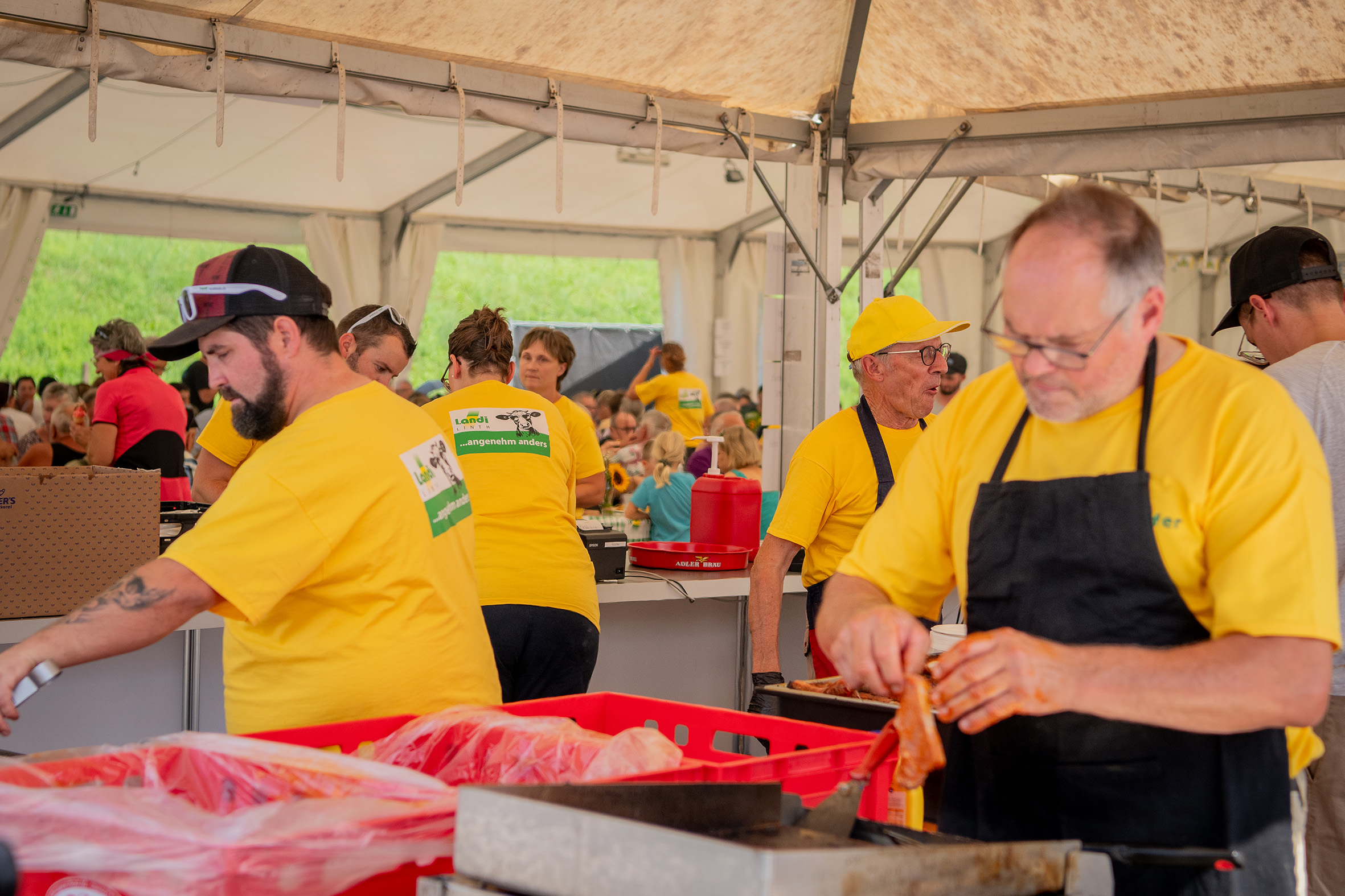 LANDI-Linth-Foto-Festwirtschaft.jpg