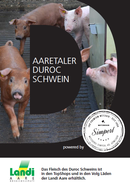 duroc (1)