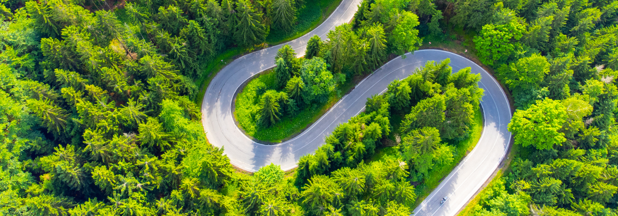 Rohstoff aus Schweizer Wälder