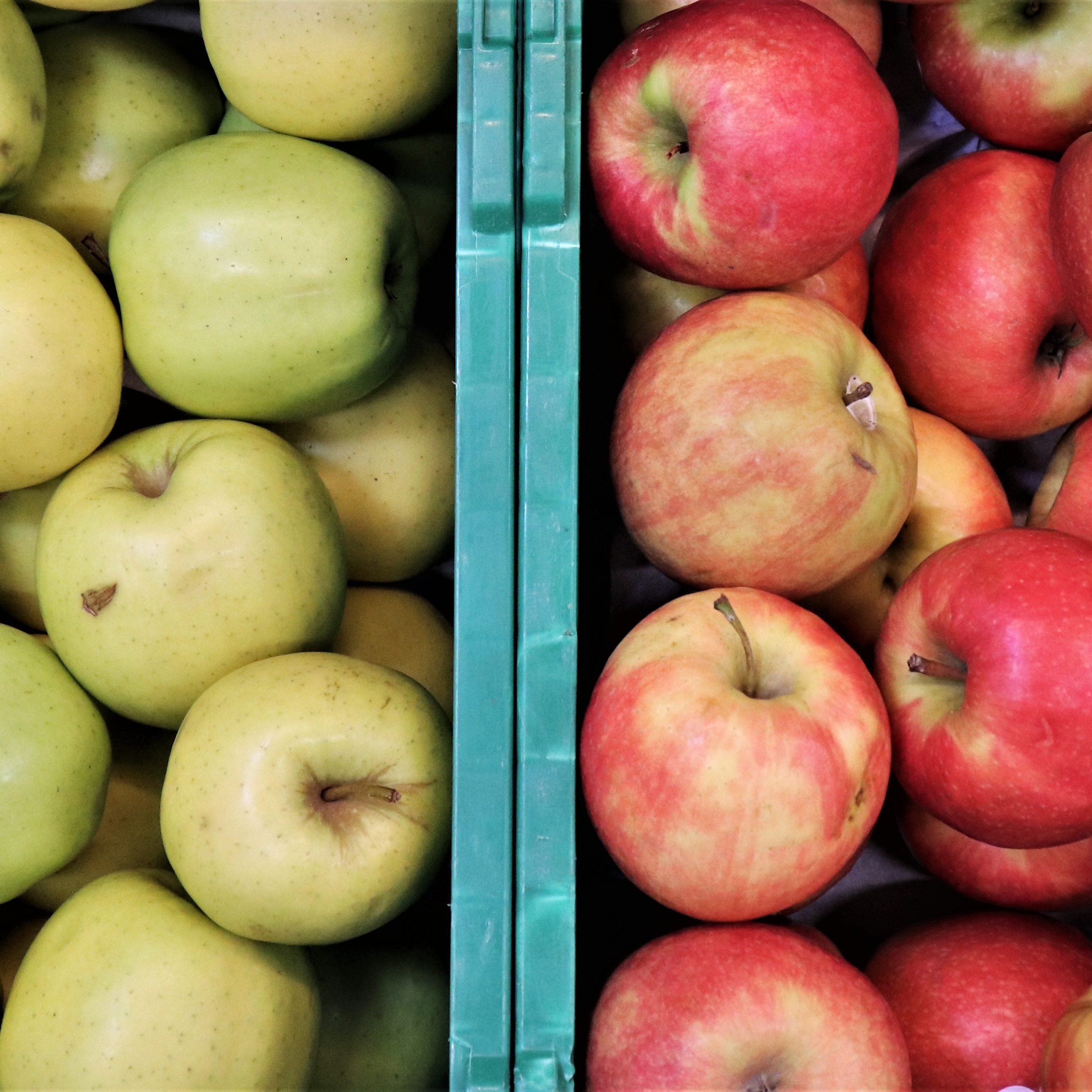 Apfel Lieferant Wobmann