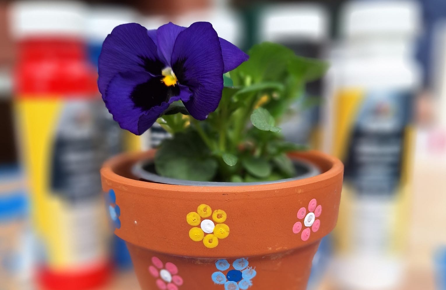 Blumentöpfchen bemalen