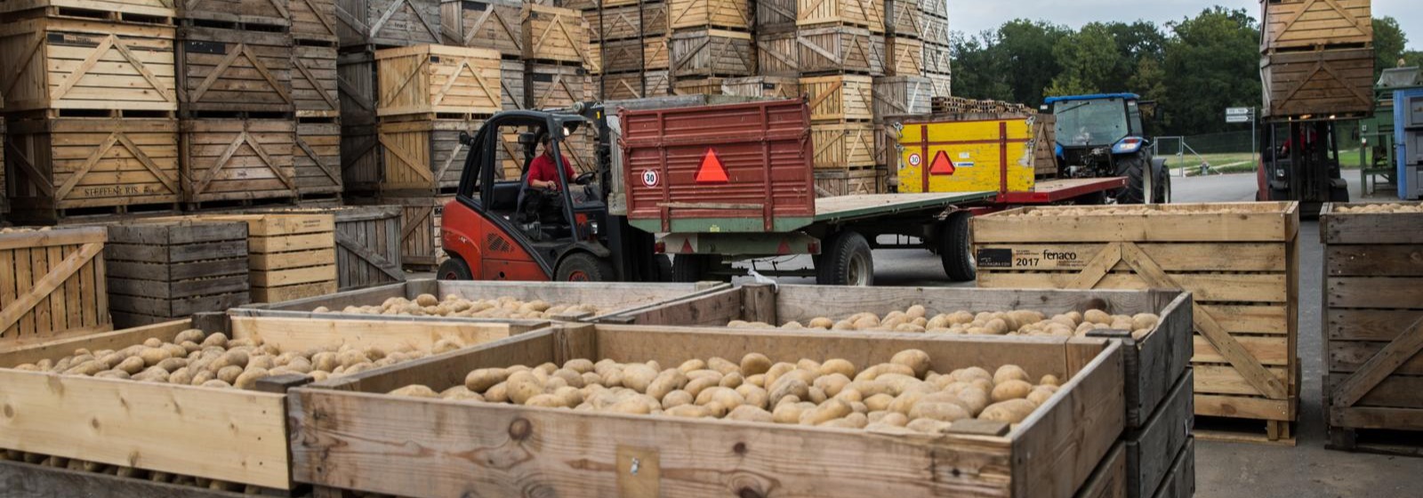 Agrar, Kartoffelzentrum