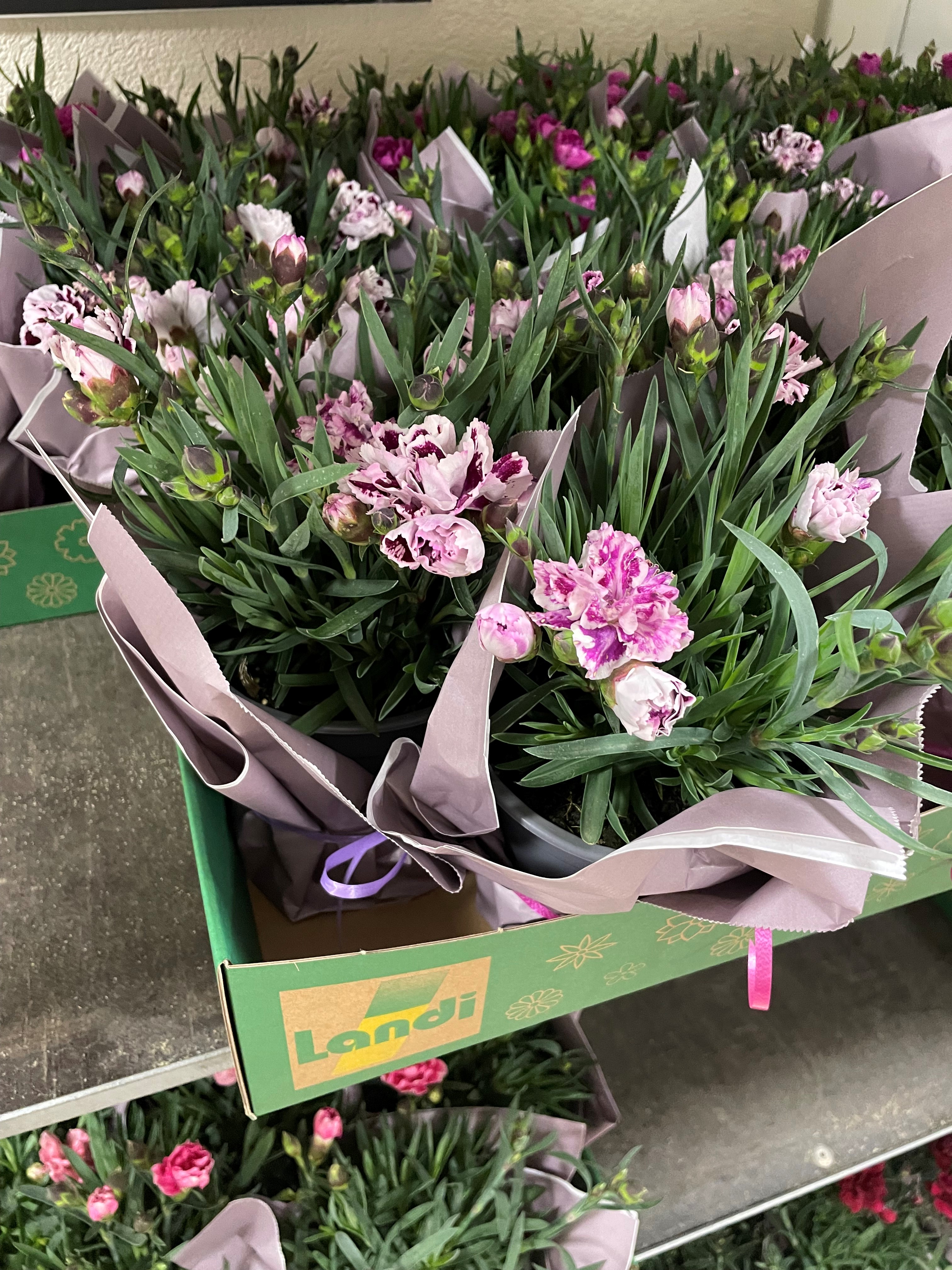 News Bild GV LANDI Mittelthurgau