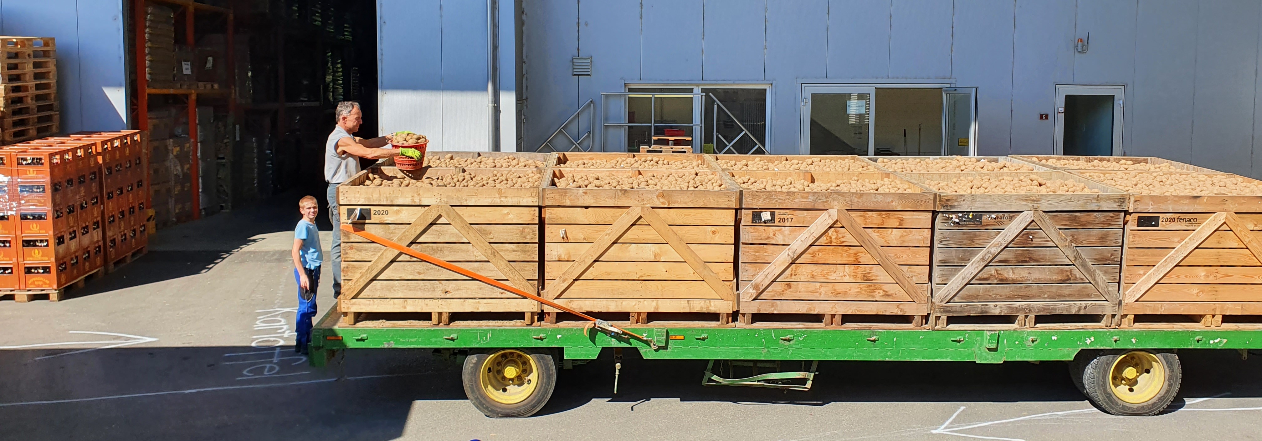 Annahme, Lagerung und Vermarktung von Kartoffeln