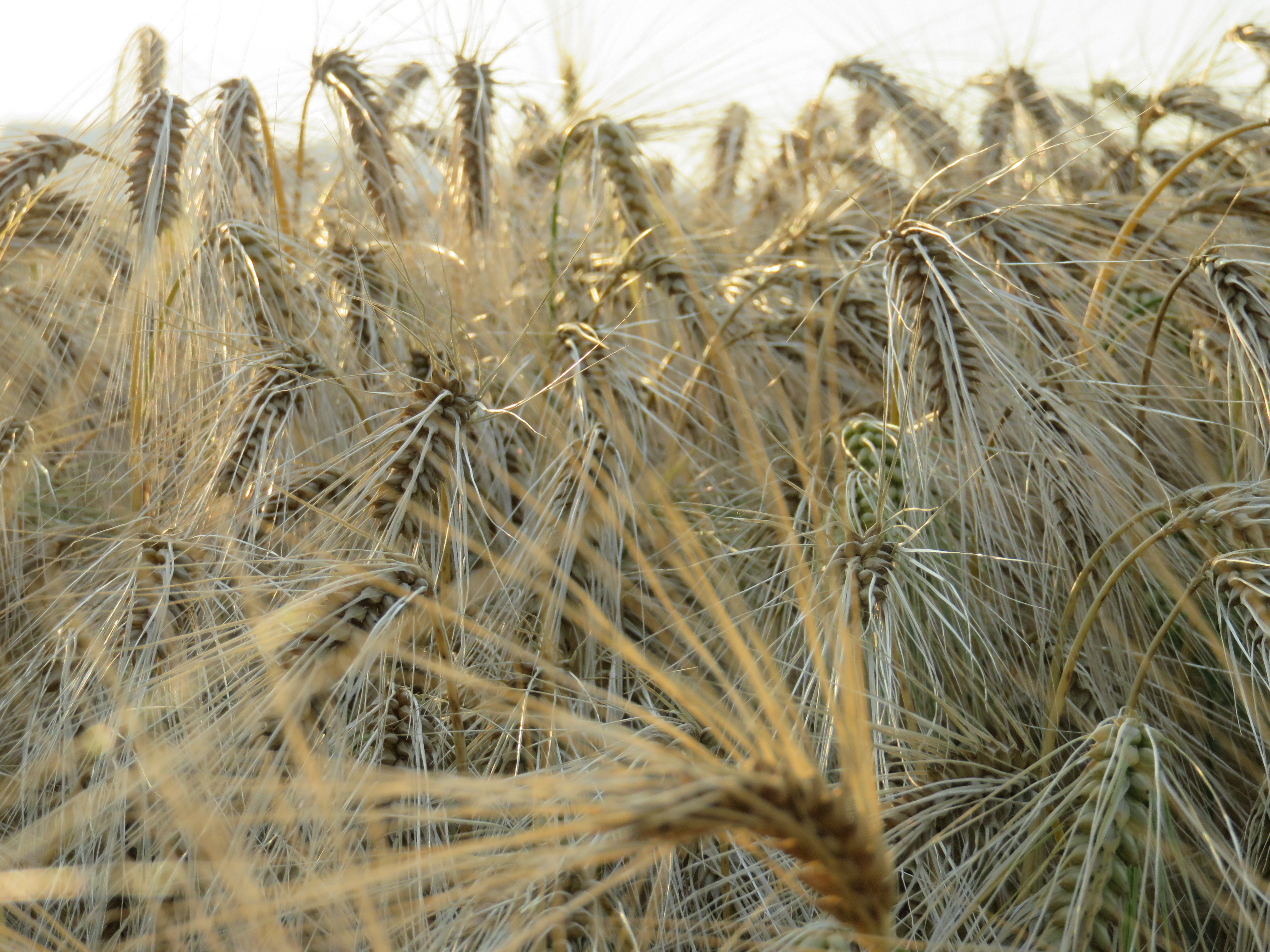 Marktgerechte Preise, verlässliche Auszahlung und transparente Abrechnung