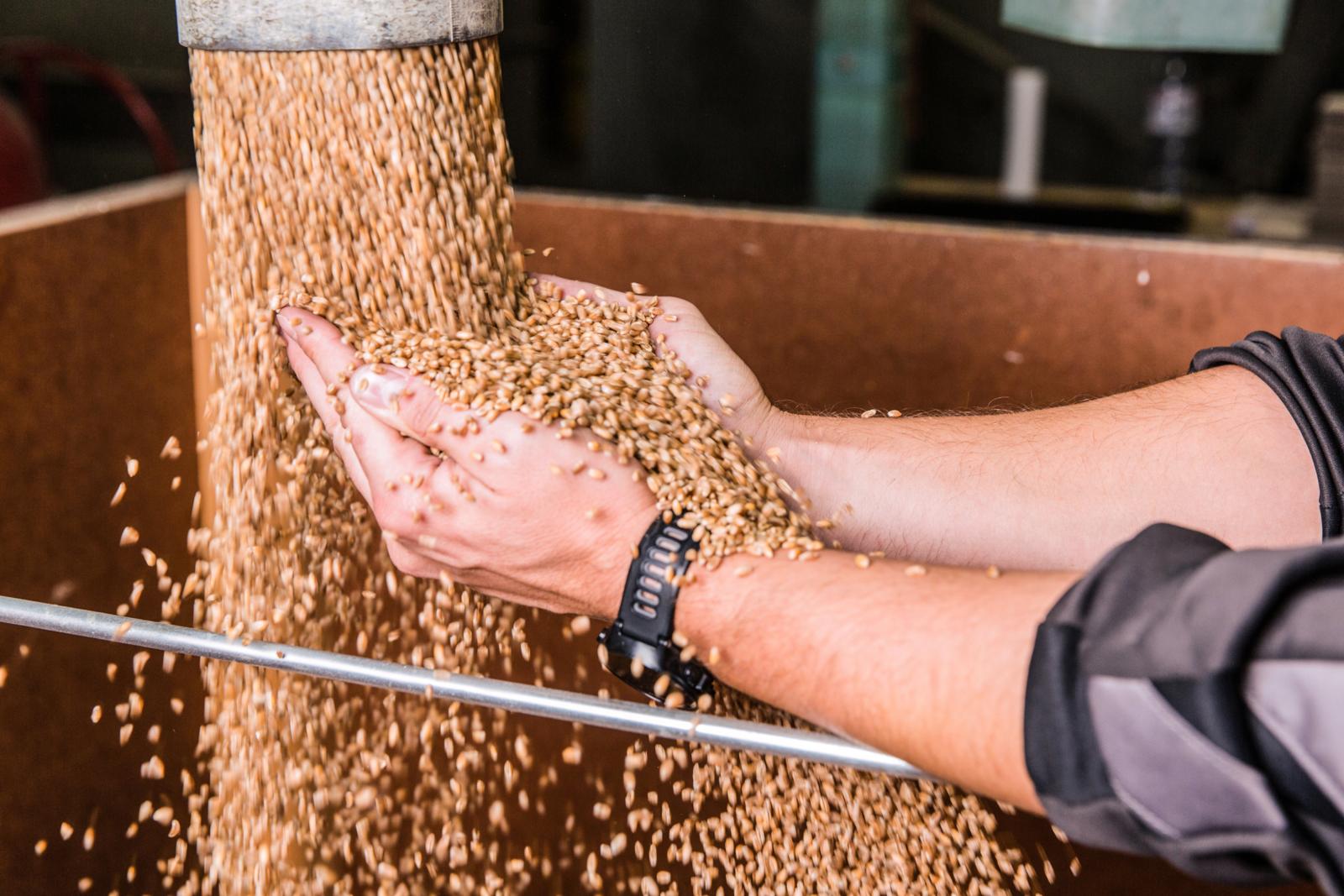 ThermoSem – mit Dampf gereinigt