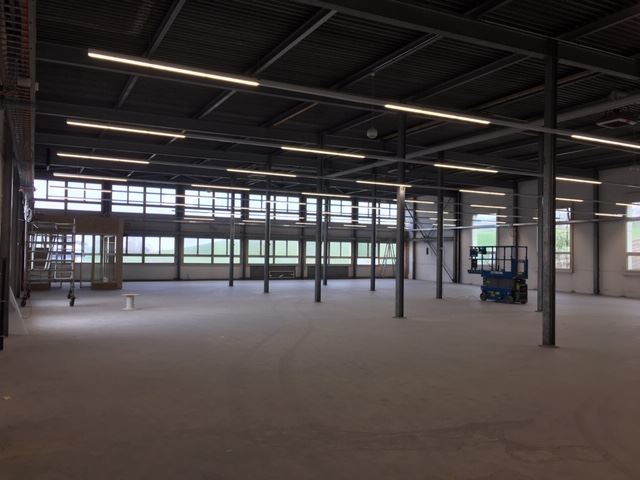 Ringgenmatt April 2019