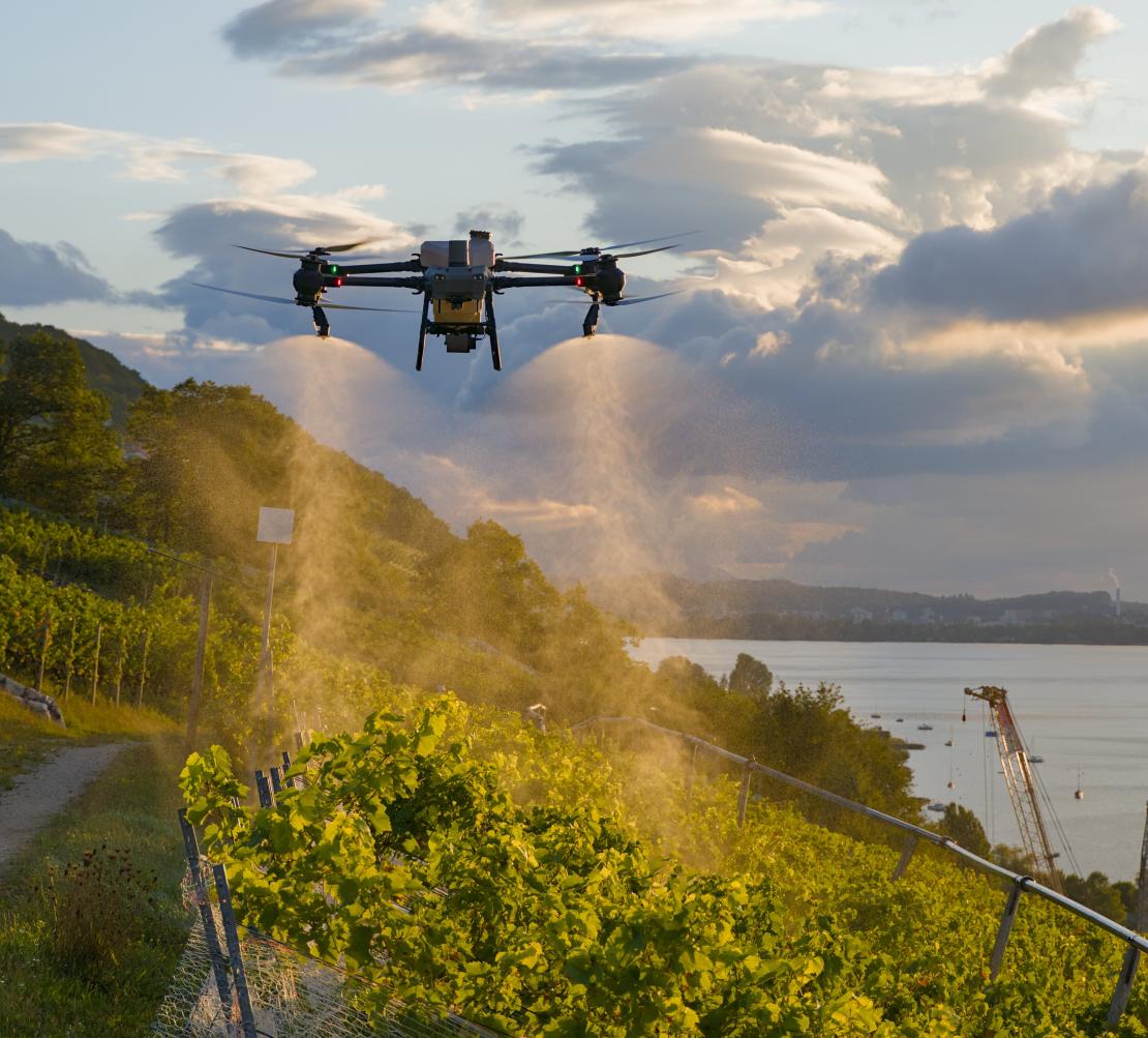 Pflanzenschutz Weinbau - VitiDrone