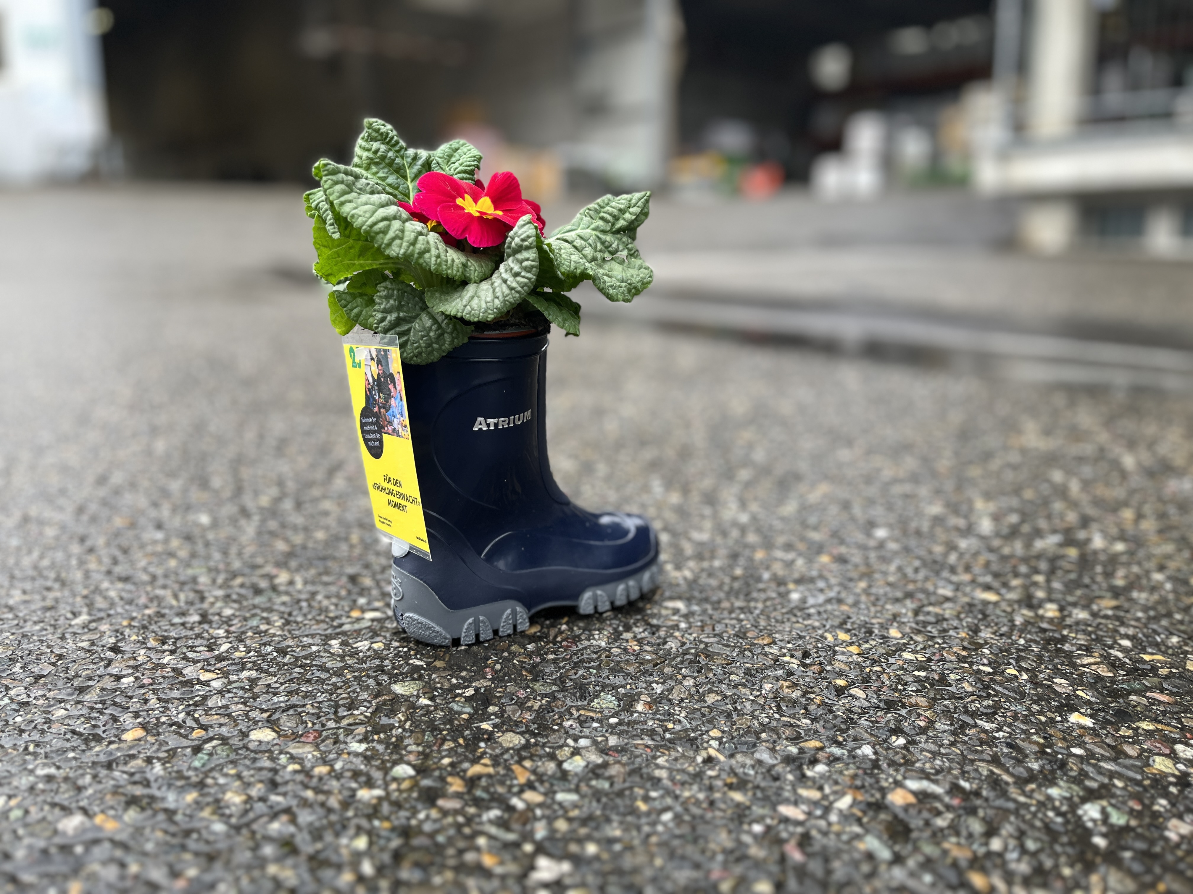 Die Stiefel-Aktion begeistert!