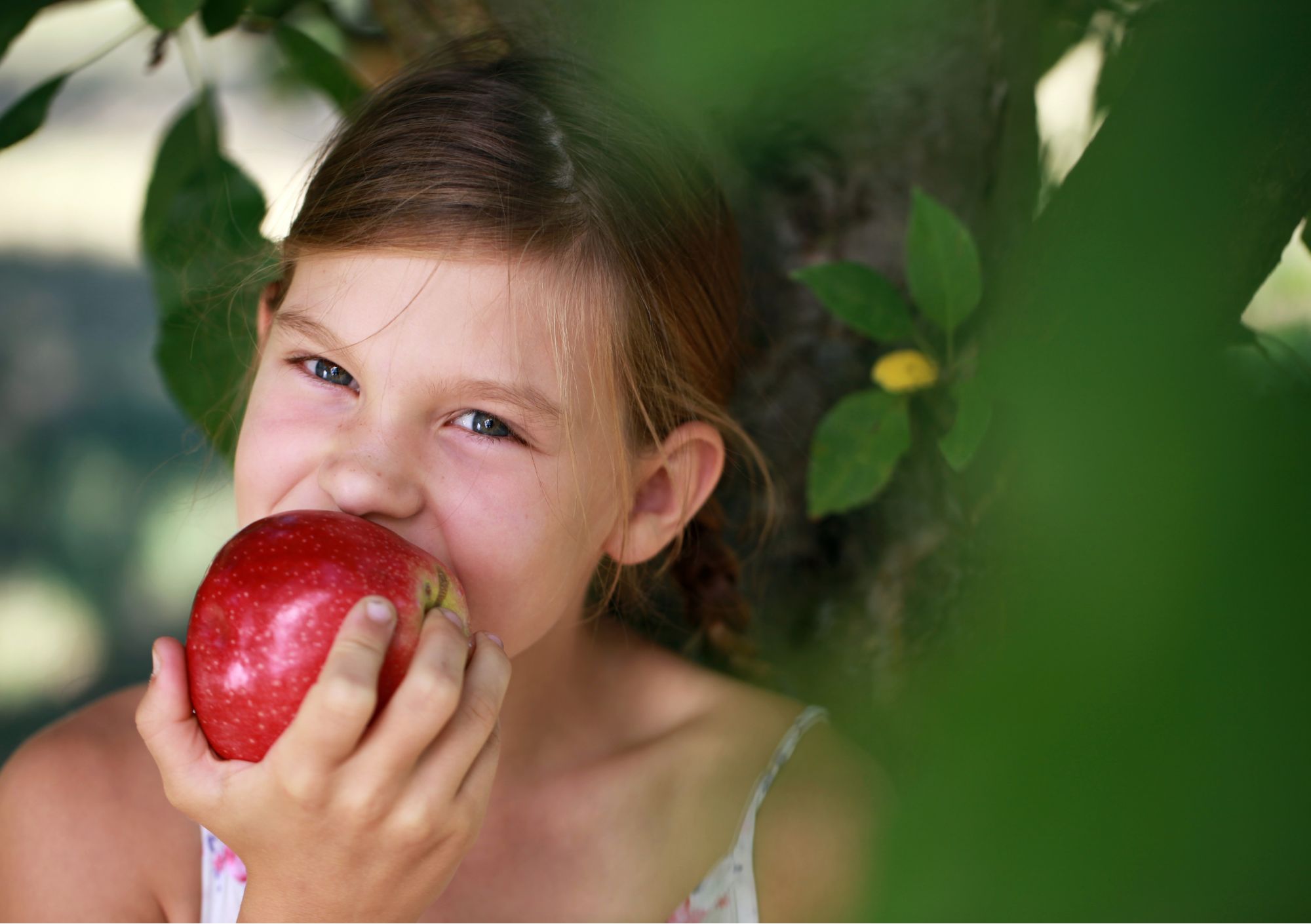 Warum zählt Regionalität?