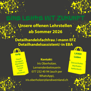 Offene Lehrstellen 2026