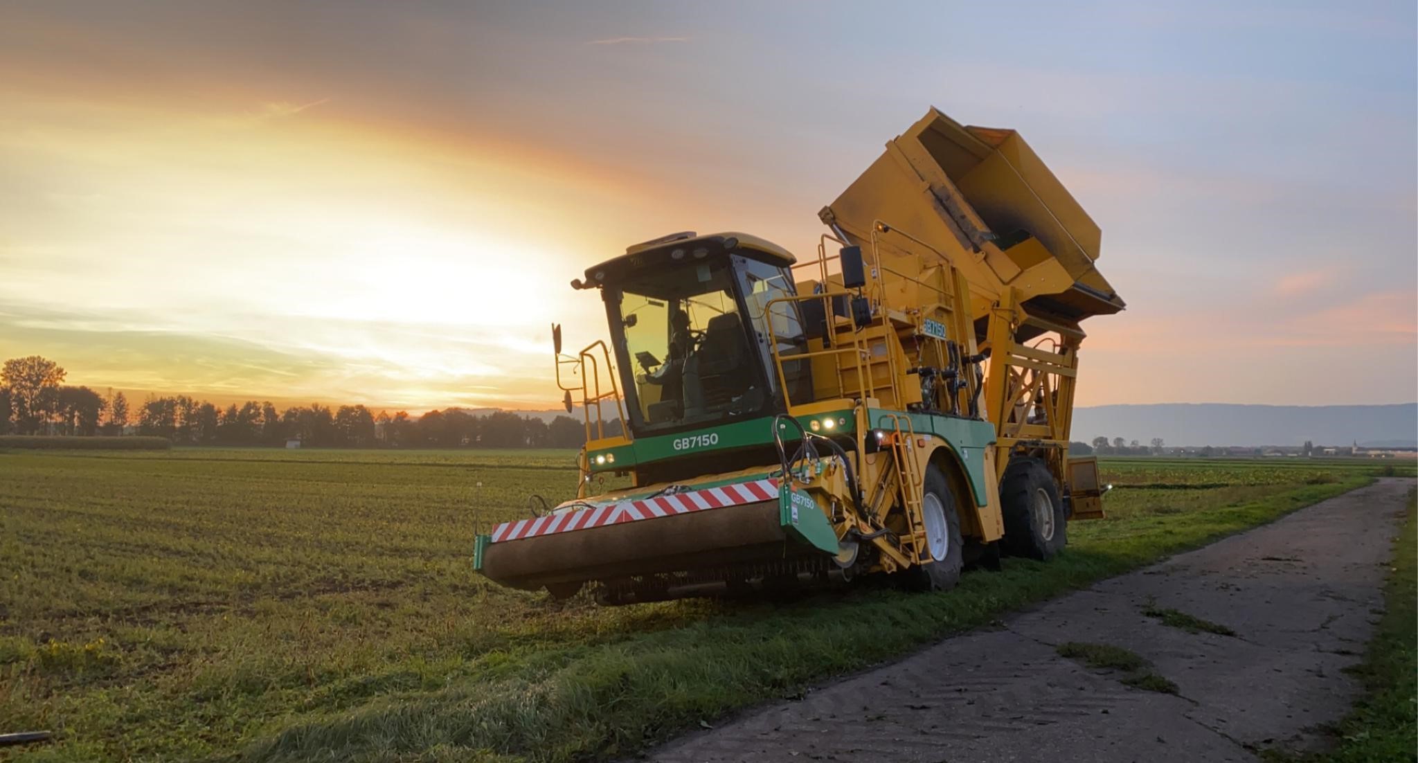 Bohnenerntemaschine Ploeger bei Sonnenuntergang
