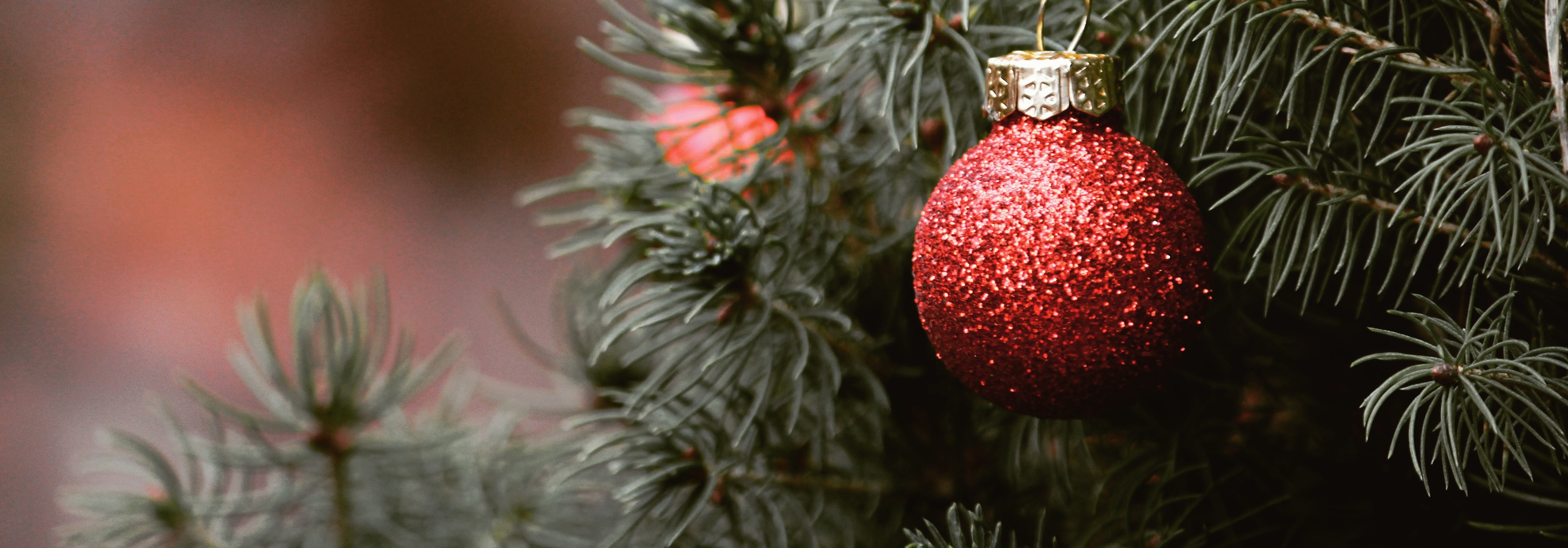 Hero, Weihnachtsbaum, Close-up