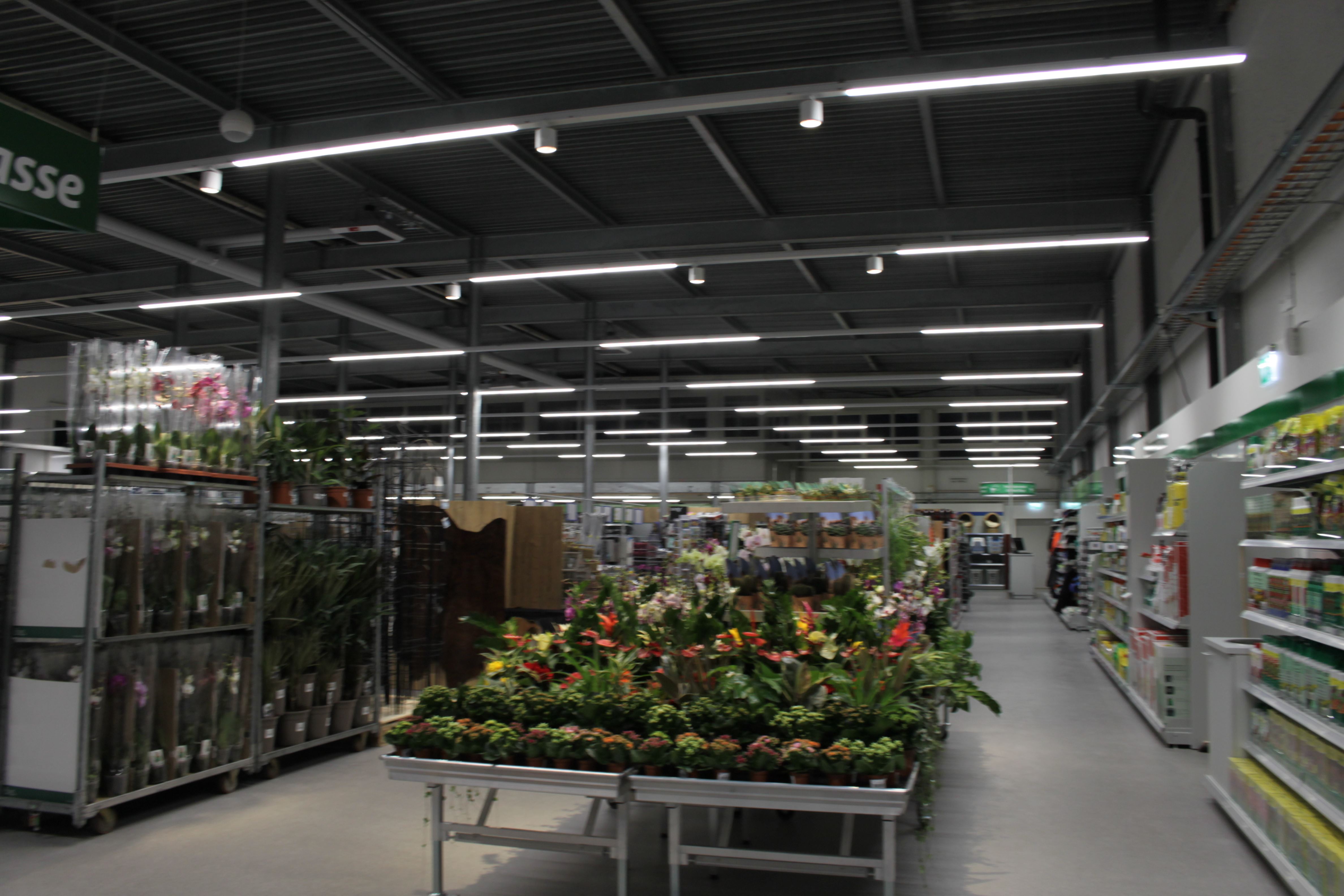 Eröffnung Ringgenmatt