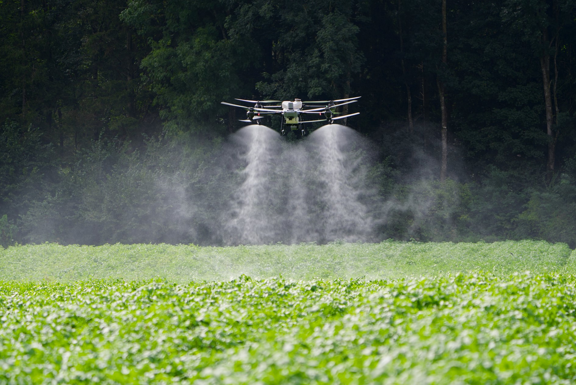 Pflanzenschutz Ackerbau - CropDrone