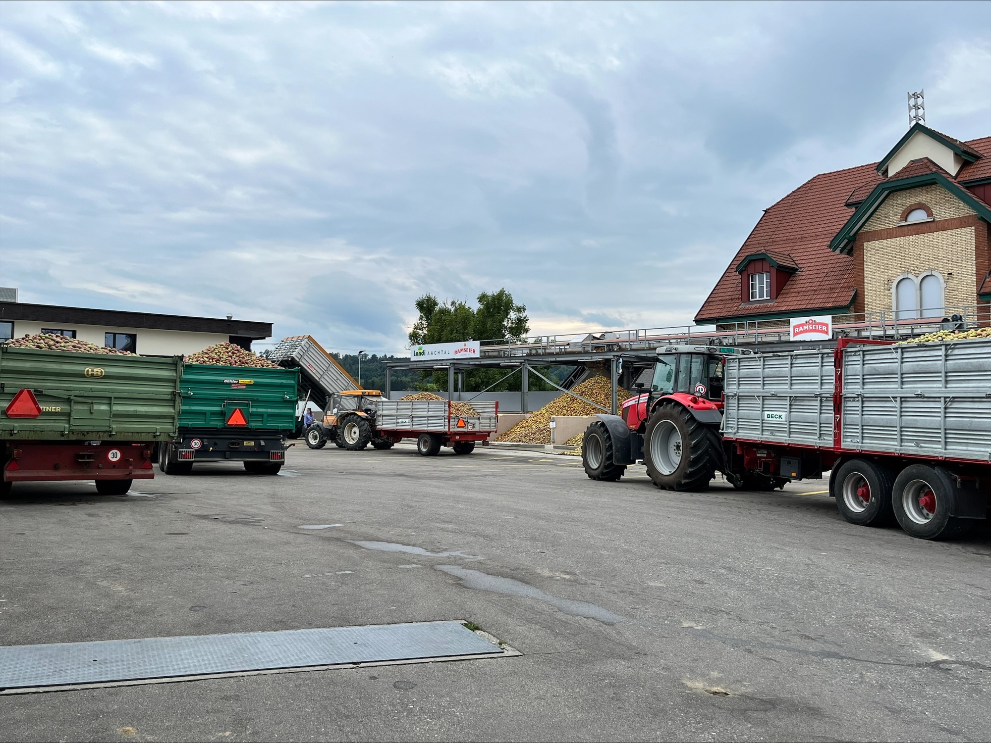 Vollbetrieb Mostobstannahme