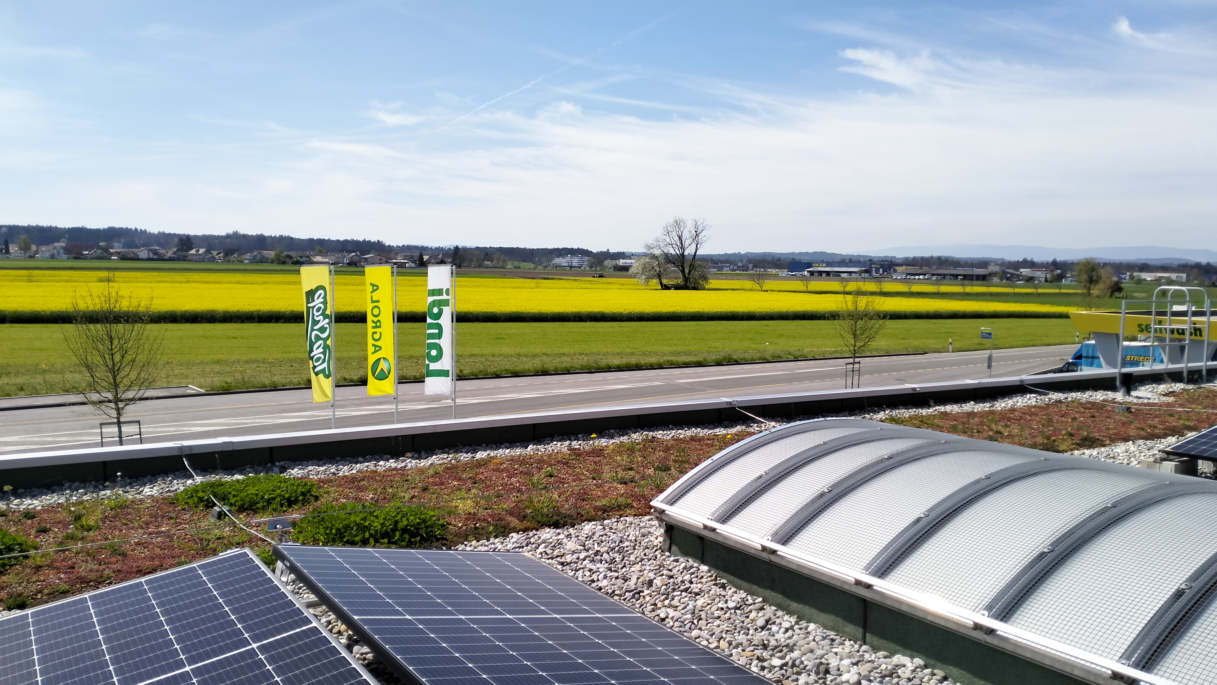 Rapsfeld vom Dach aus