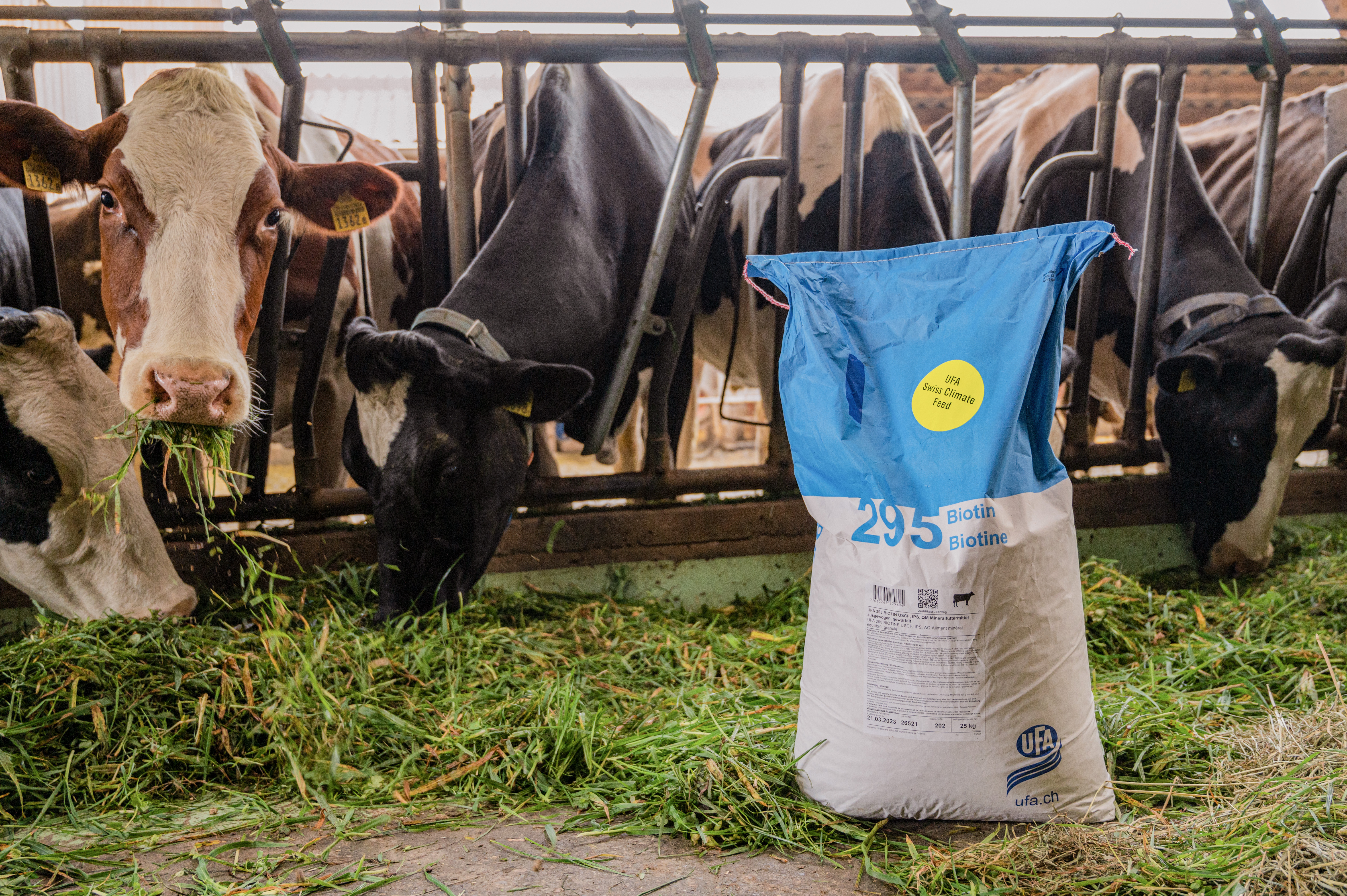 230209_UFA-NuU Klimazertifikat_01.jpg