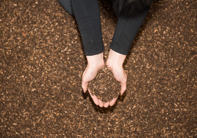 bio-waldboden-pferdeeinstreu