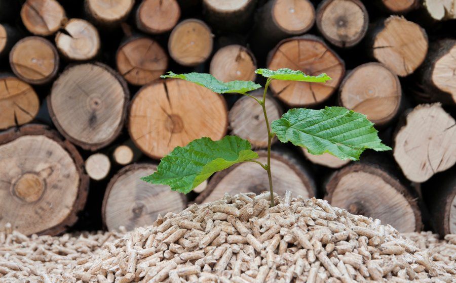 LCW Global - Nachhaltigkeitsstory Schweizer Holz - Holzpellets