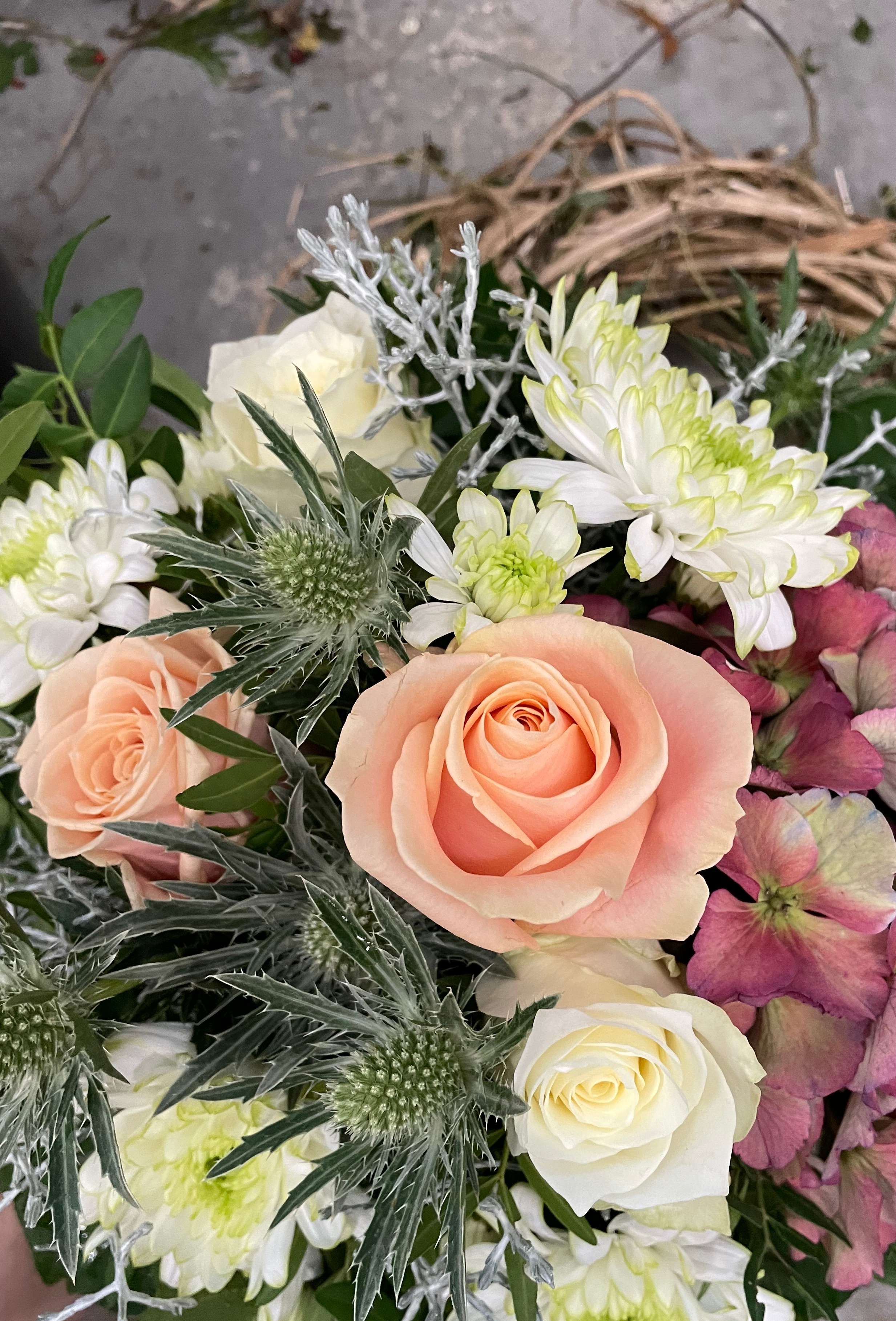 Blumen von Wunderblüte