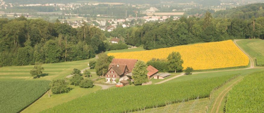 Lokaler Lieferant Header Kindhauser-Berghof