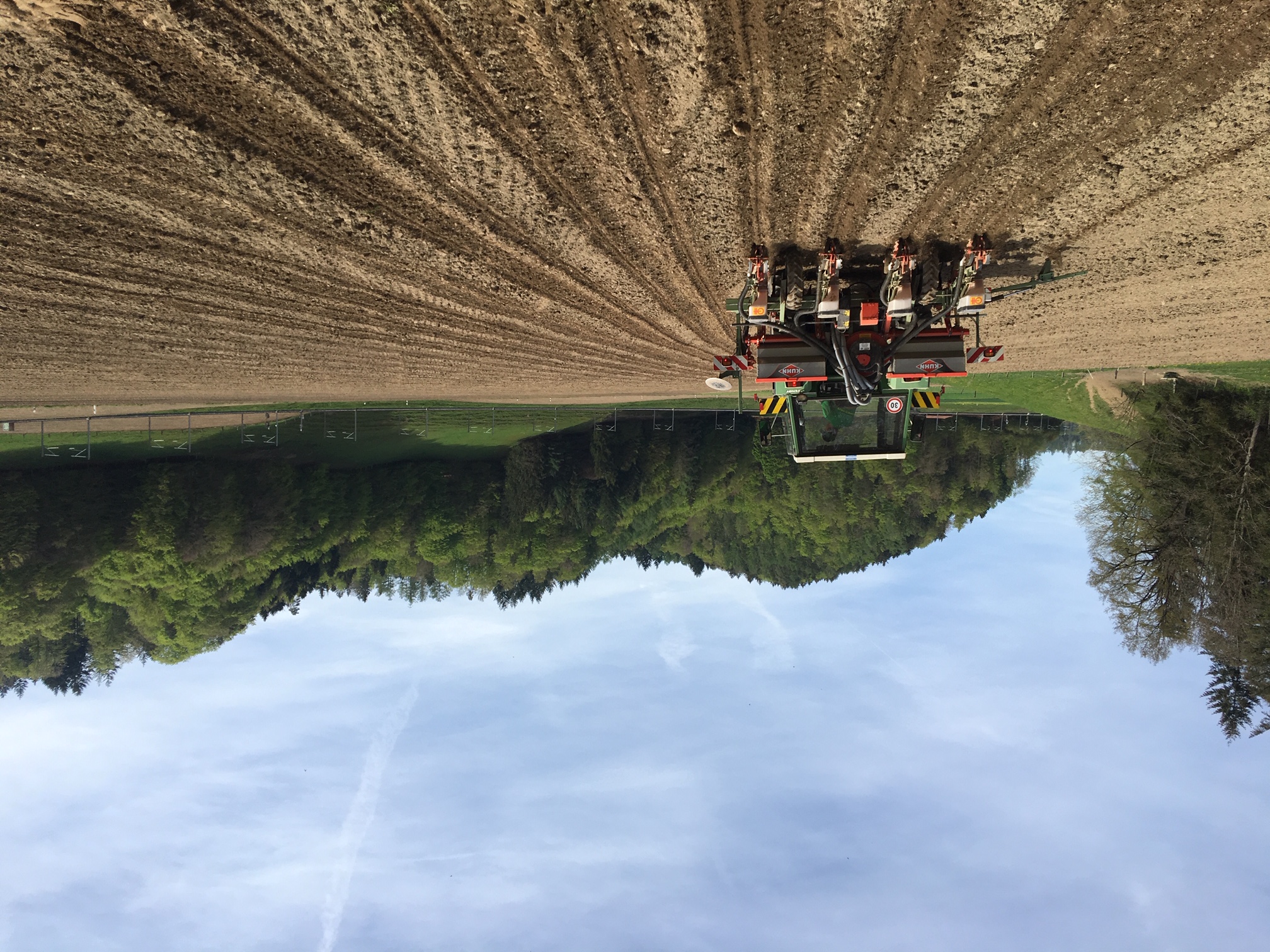 Die richtige Maissorte wählen