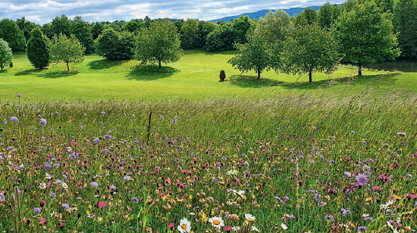 Soin du gazon et prairies le samedi 9 mars 2024 de 10 h à 16h