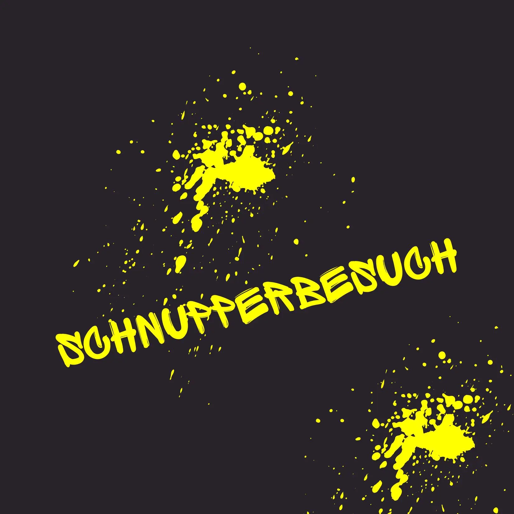 Schnupperbesuch – Erster Einblick