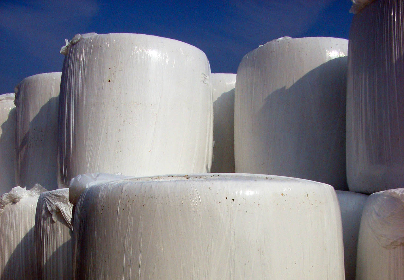 Siloballen und Silagen