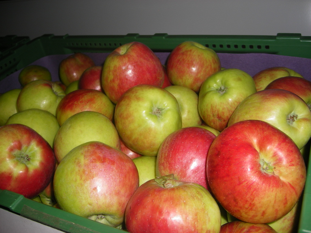 ladenbilder karin 036.jpg