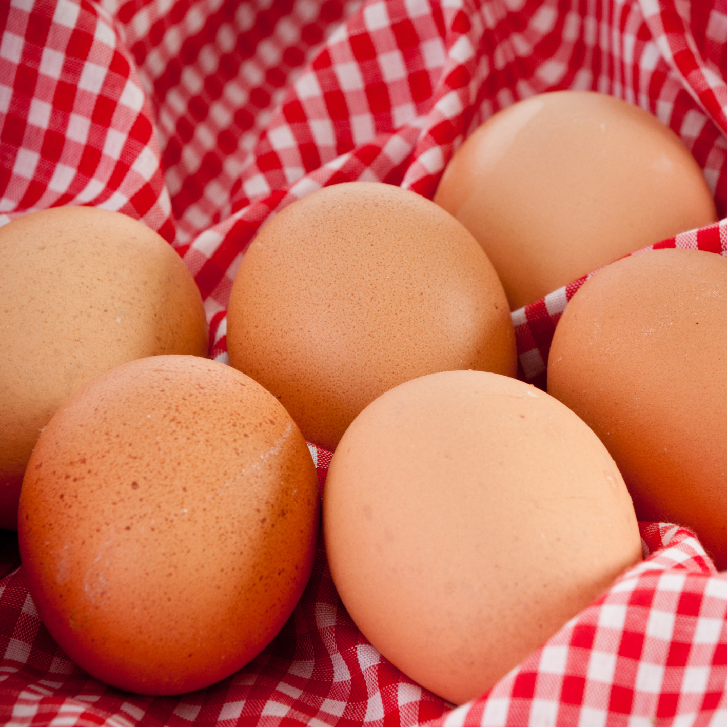 Eier LANDI Züri Unterland