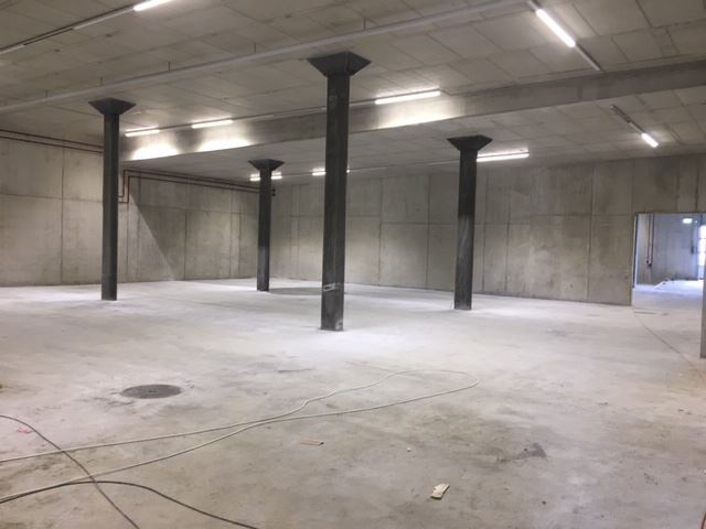 Ringgenmatt April 2019