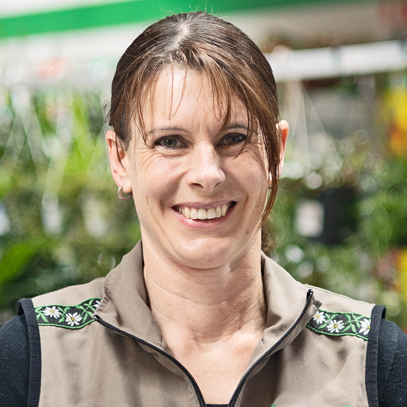 Sarganserland Monika Buner