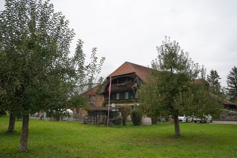 teaserbild hof haldemann