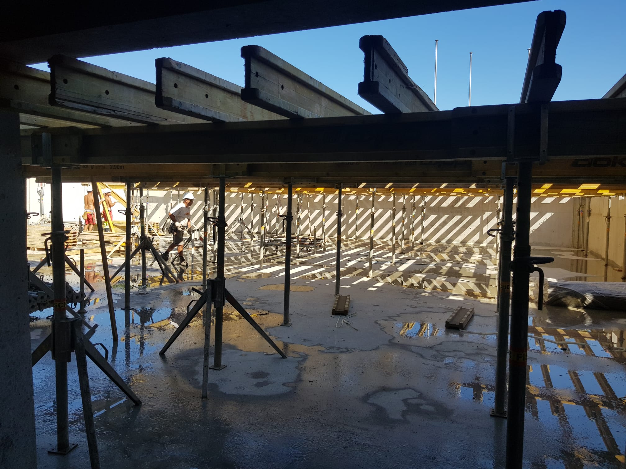 WhatsApp Image 2020-08-18 at 17.46.32.jpeg