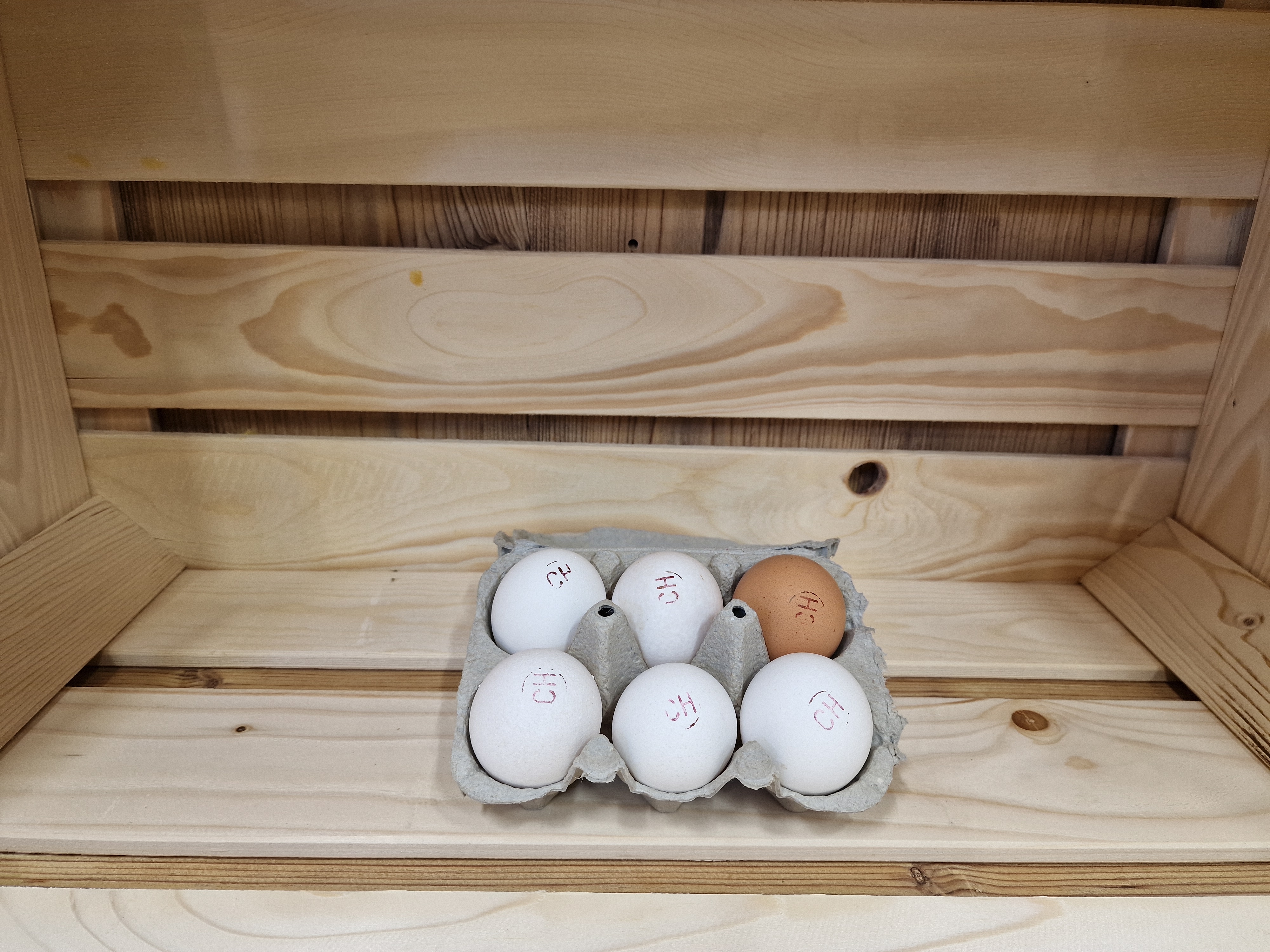 6er Eier - Bruno Spring