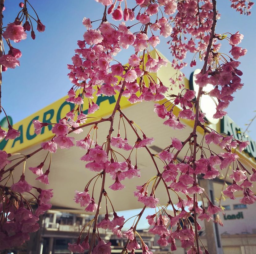 Agrola Tankstelle Hombrechtikon