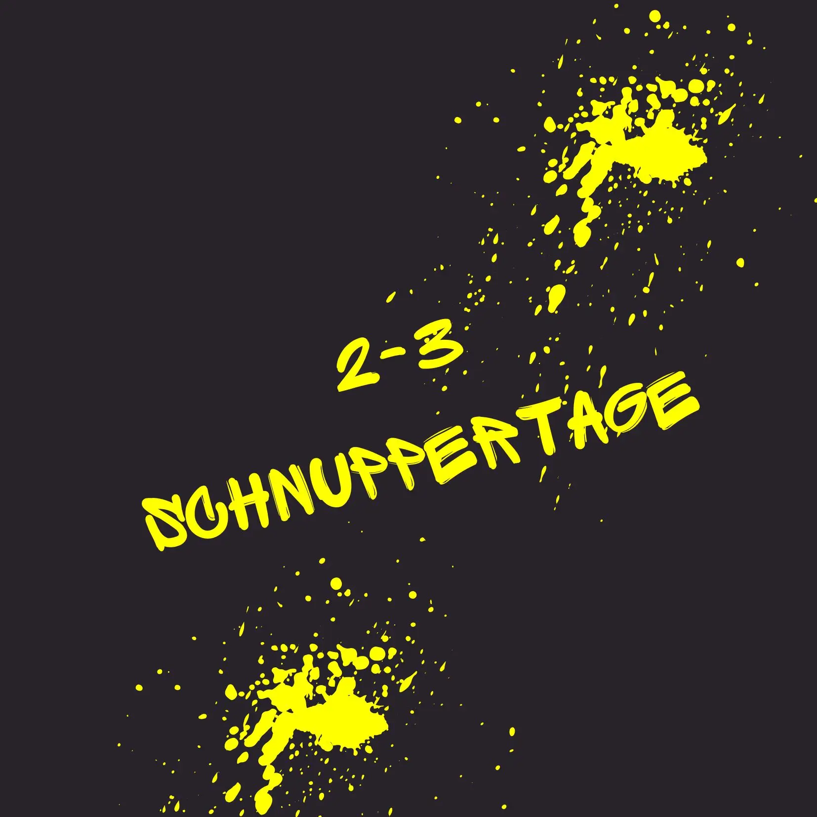 Schnuppertage (2–3 Tage) – Eintauchen und Ausprobieren