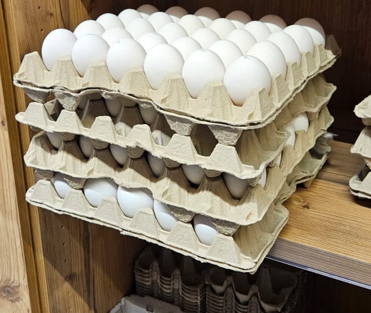 WhatsApp Image 2023-12-07 at 16.08.19 (1)