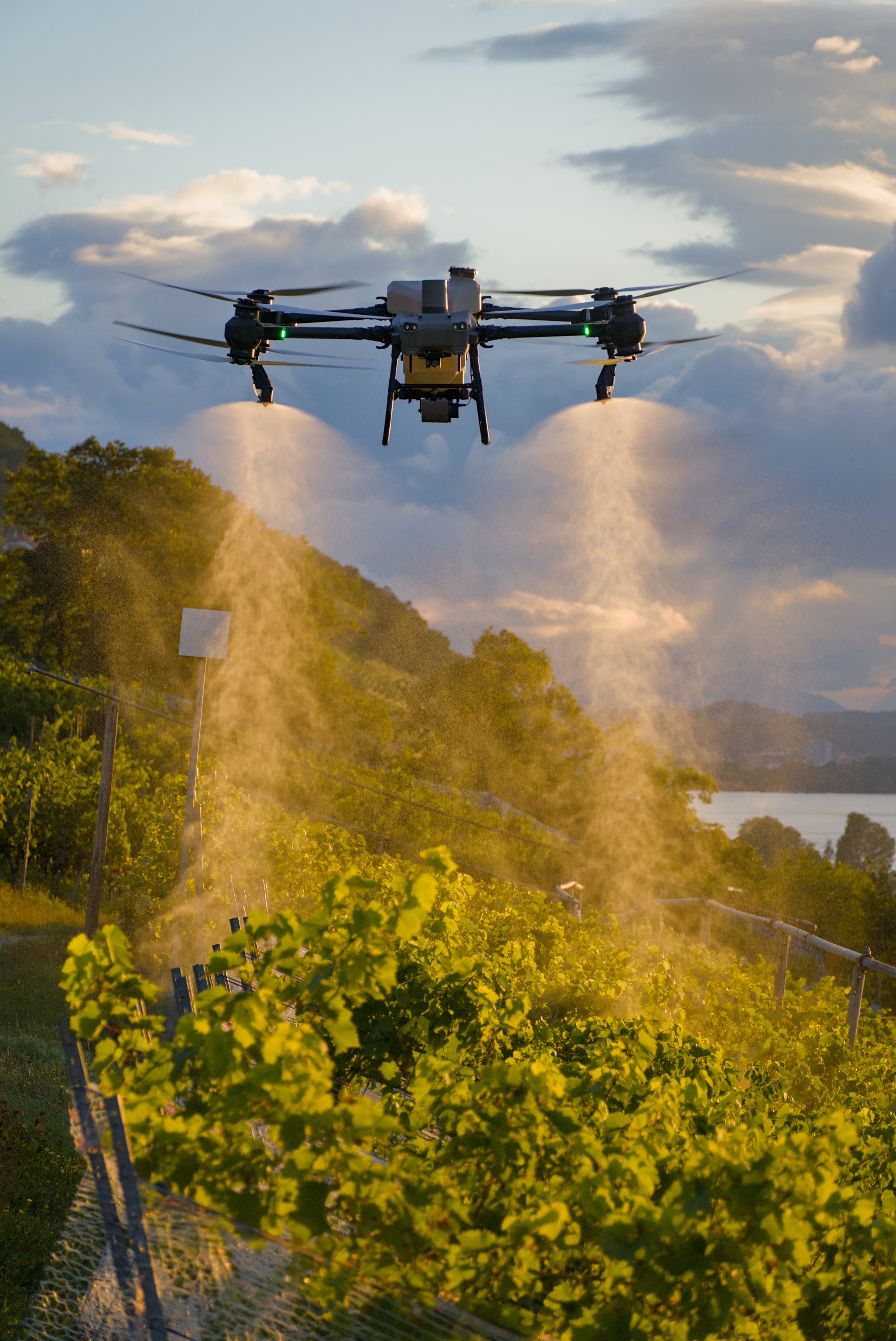 Pflanzenschutz Weinbau -  VitiDrone