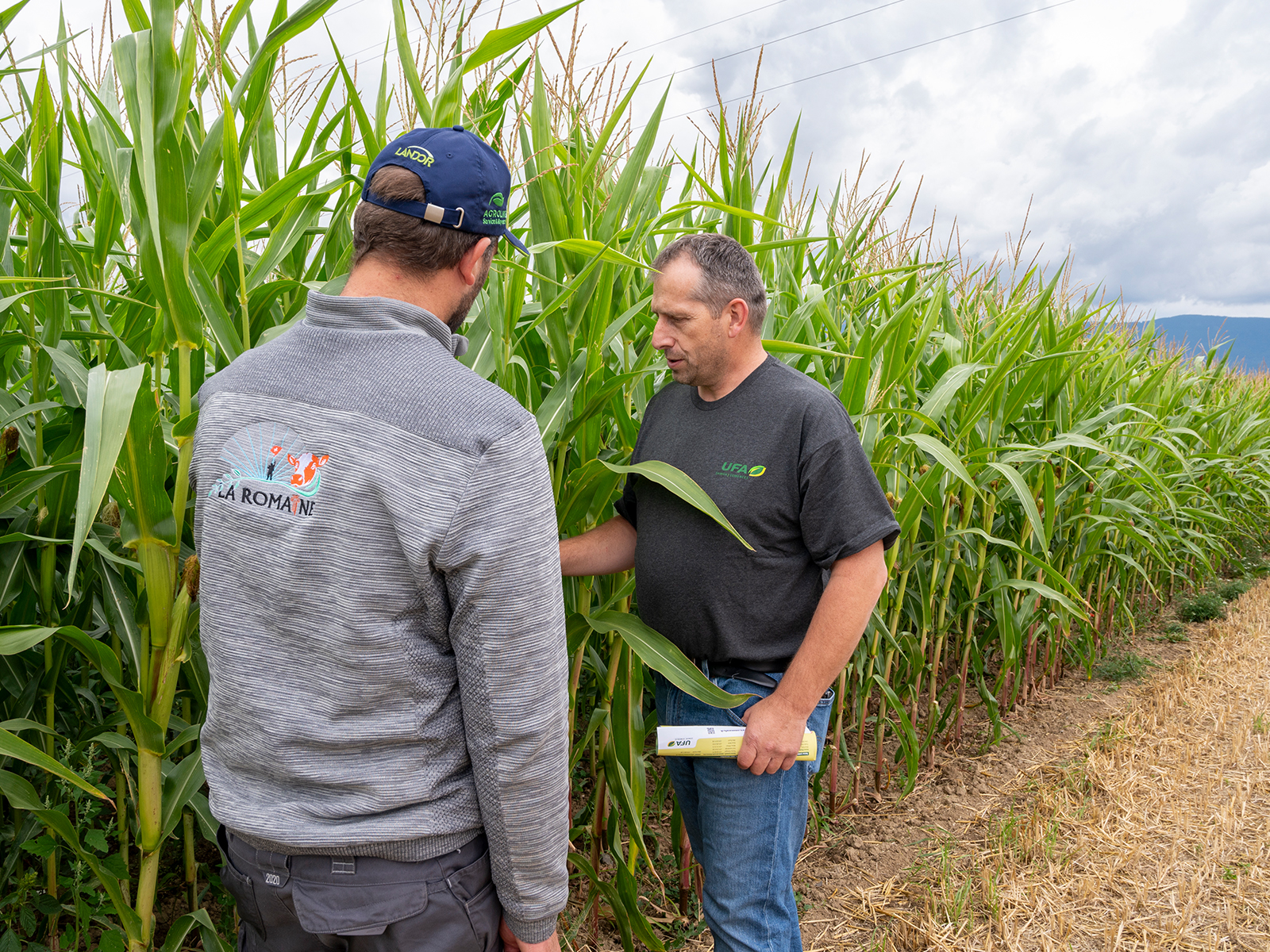 Conseils personnalisés 