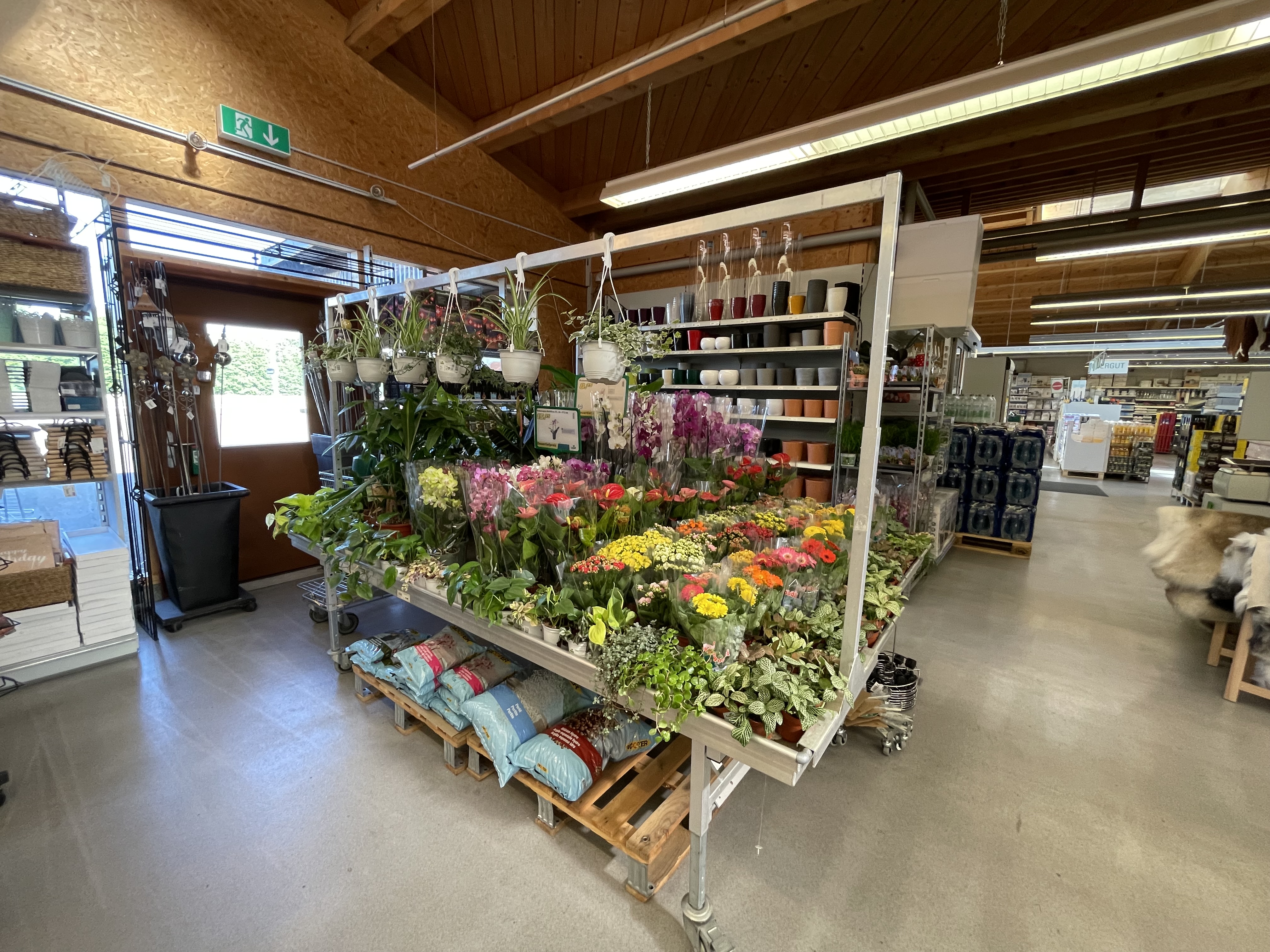 LANDI Laden Utzenstorf_Indoorpflanzen