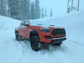 Picture of 2023 Toyota Tacoma